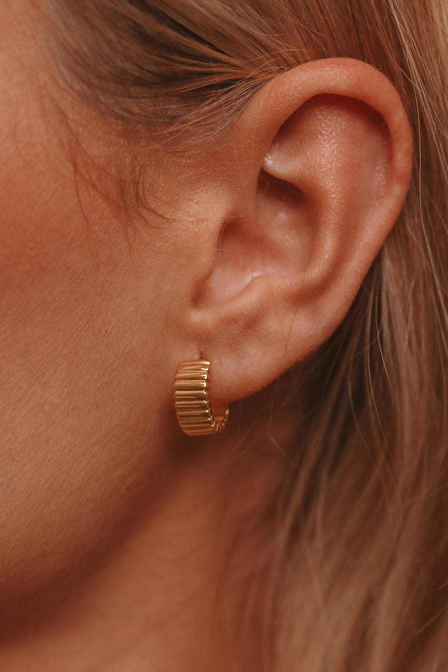 Quinn - Gold Infused or Silver Stainless Steel Hoops