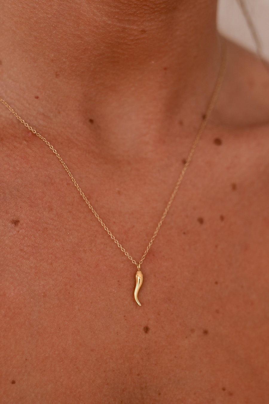Cornicello - Stainless Steel Gold or Silver Necklace